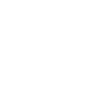 Feefo Exceptional Service Award 2025